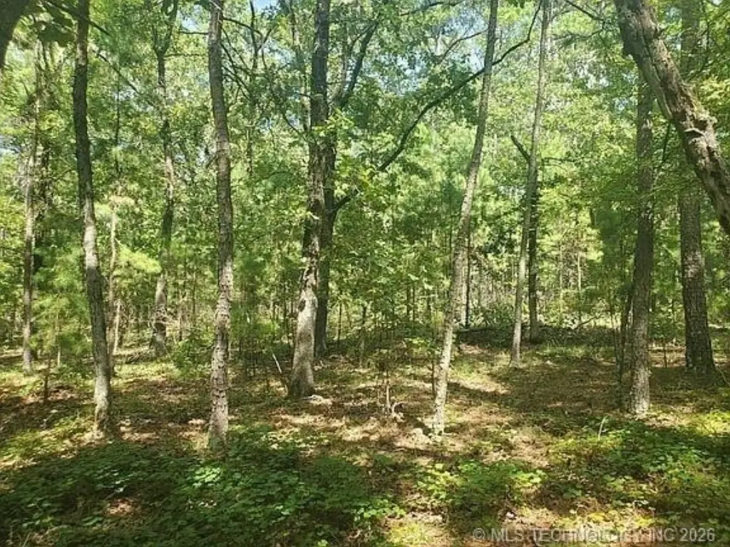 Picture 14
