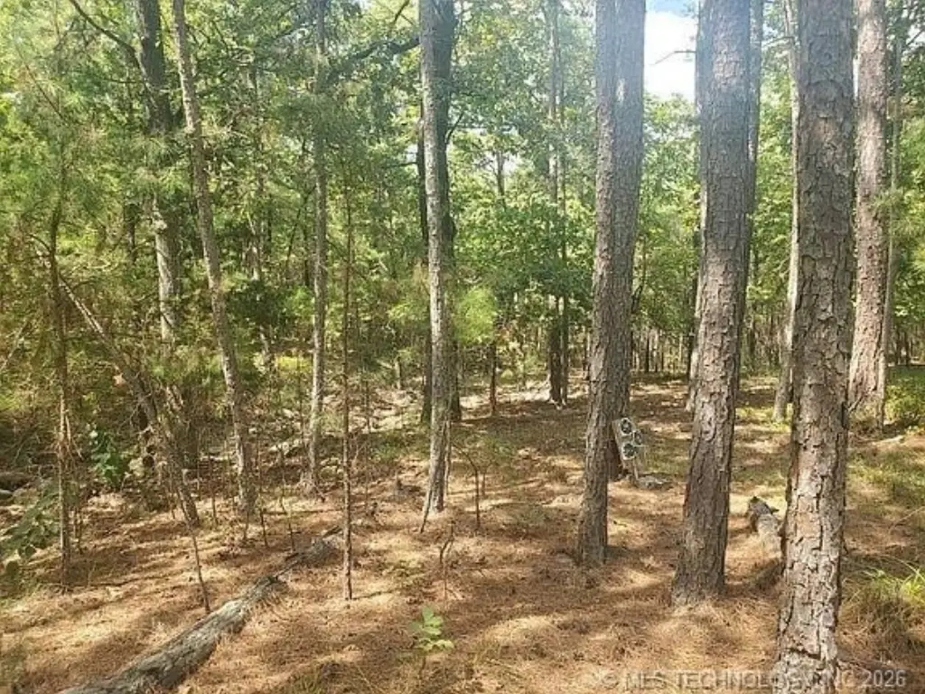 Picture 17