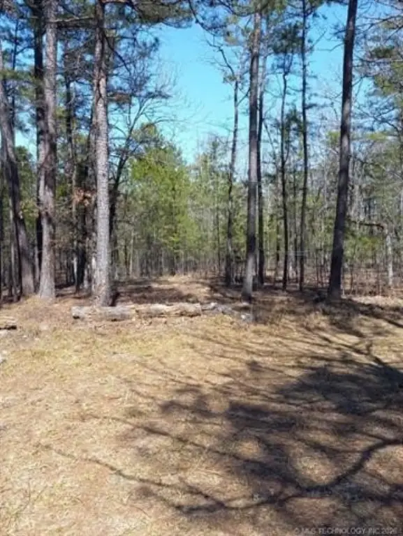 Picture 4