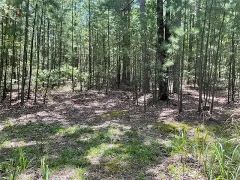 Off-Grid Hunting Land