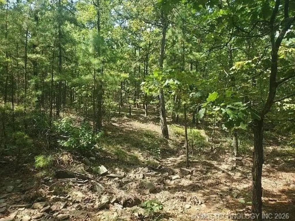 Picture 16