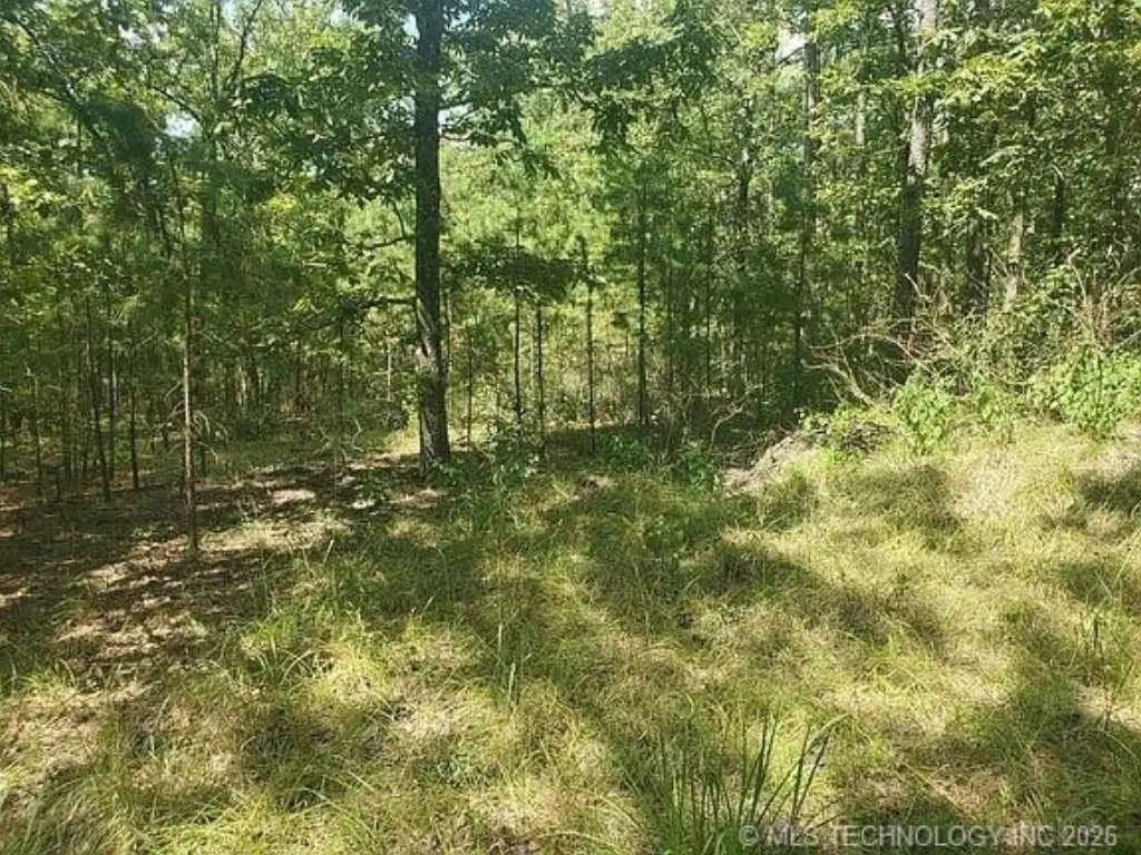 Picture 18