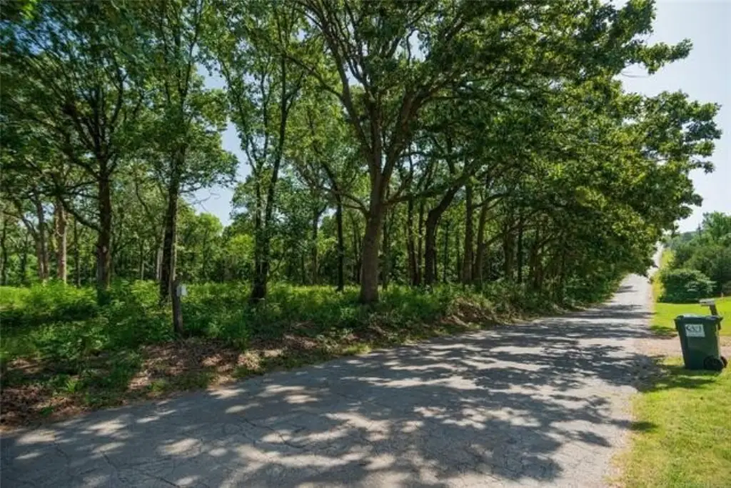 Picture 6
