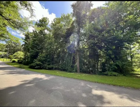 Heber Springs Wooded Land