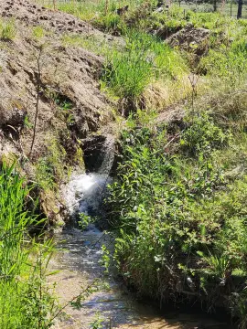 Land with Mountain Views