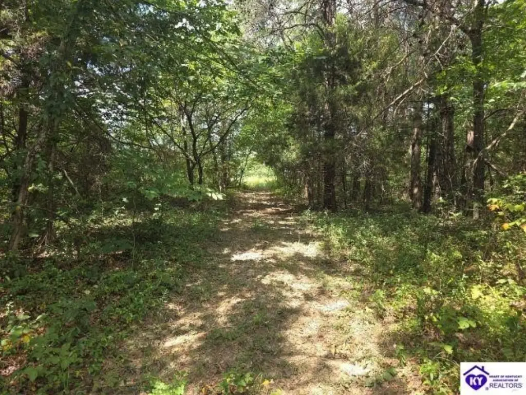 Picture 39