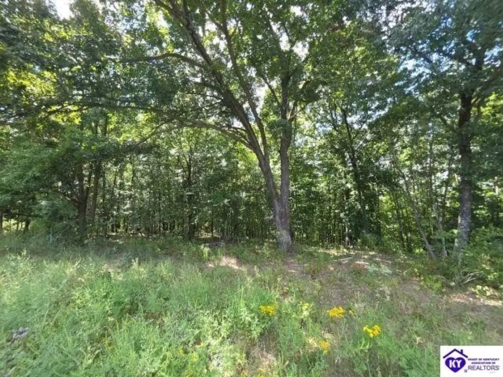 Picture 25