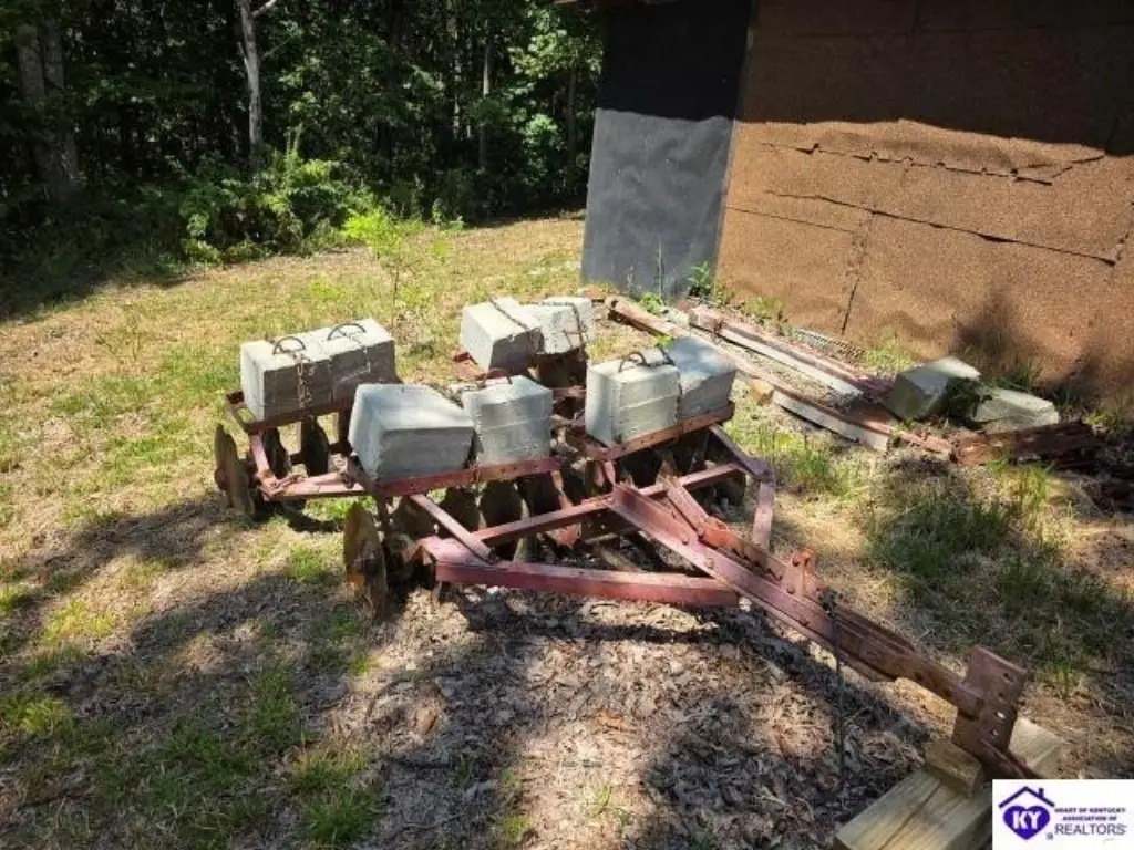 Picture 43