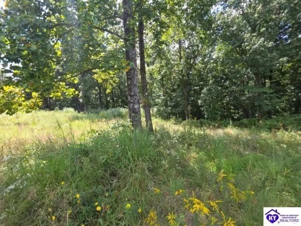 Picture 26
