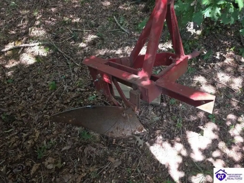 Picture 41