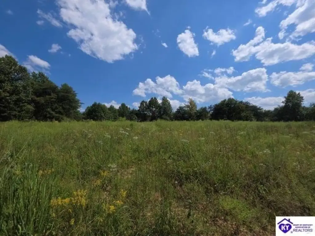 Picture 28