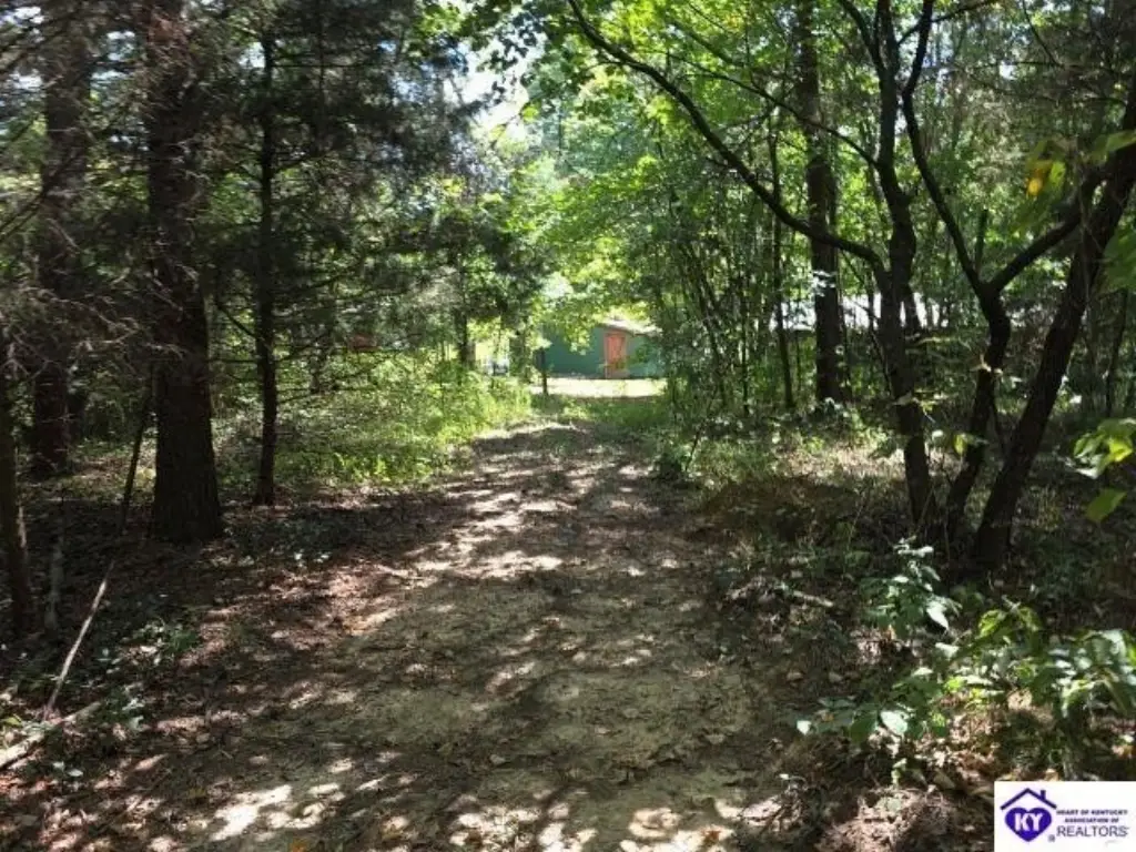 Picture 18