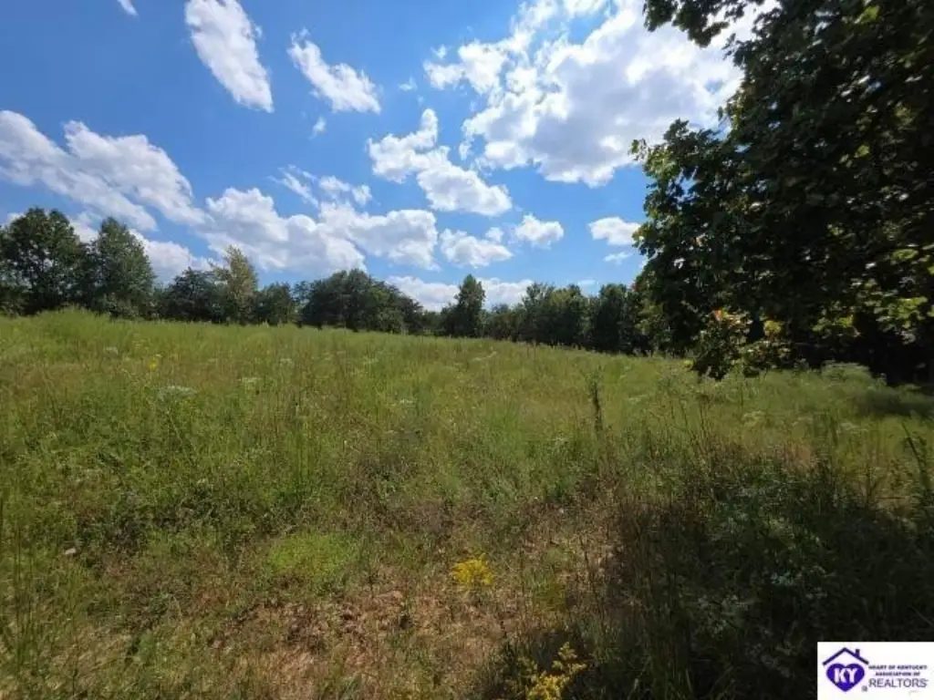 Picture 27
