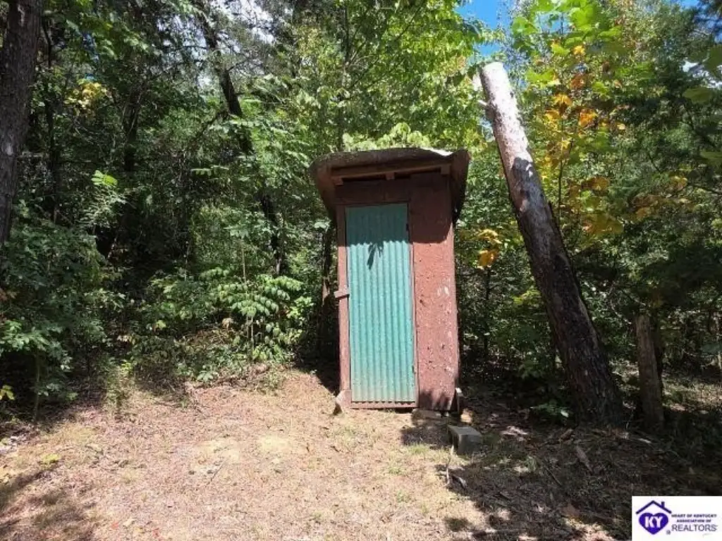 Picture 13