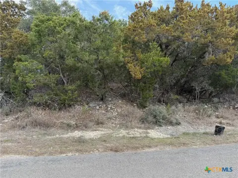 Quarter Acre Treed Lot