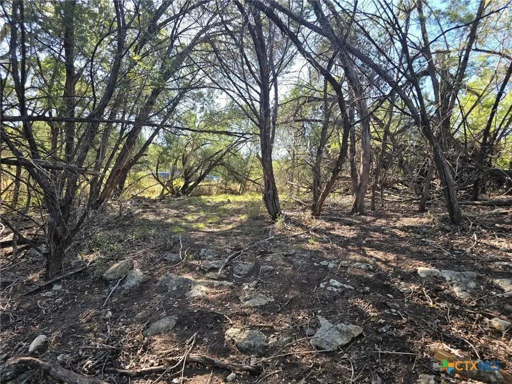 Picture 4