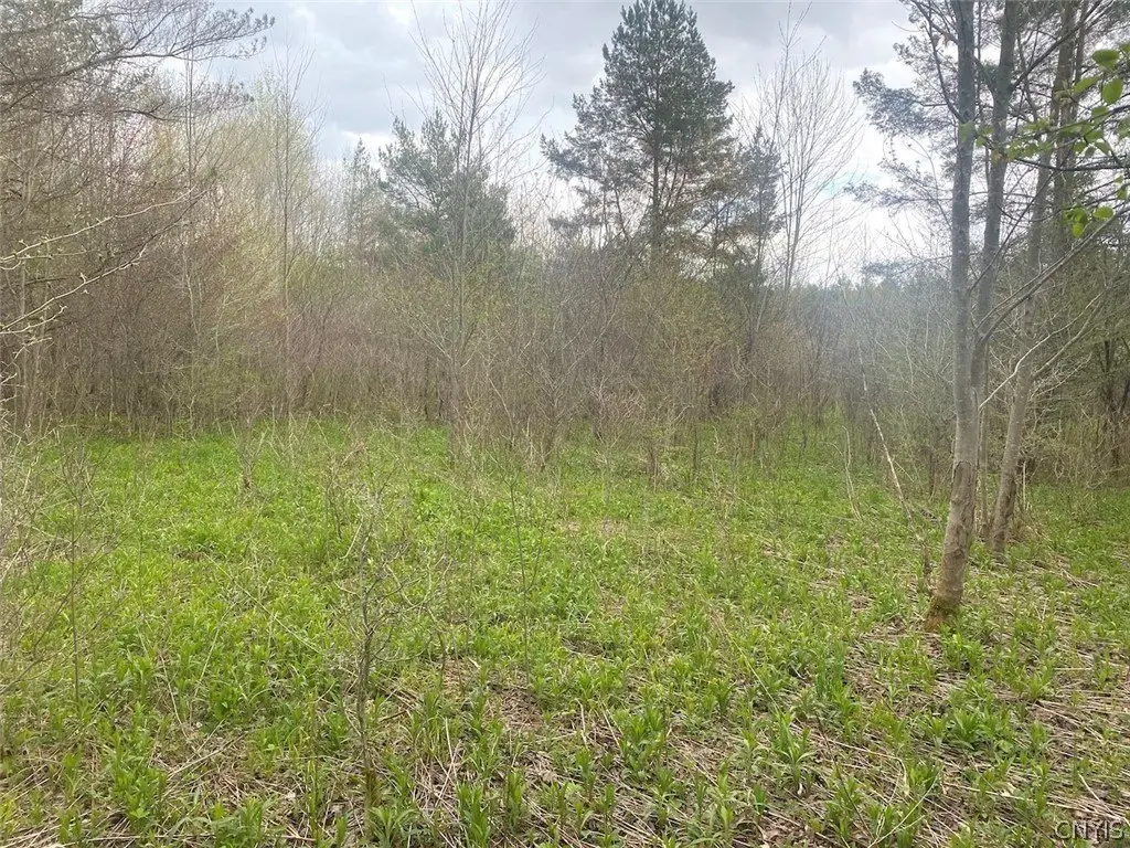 Picture 6
