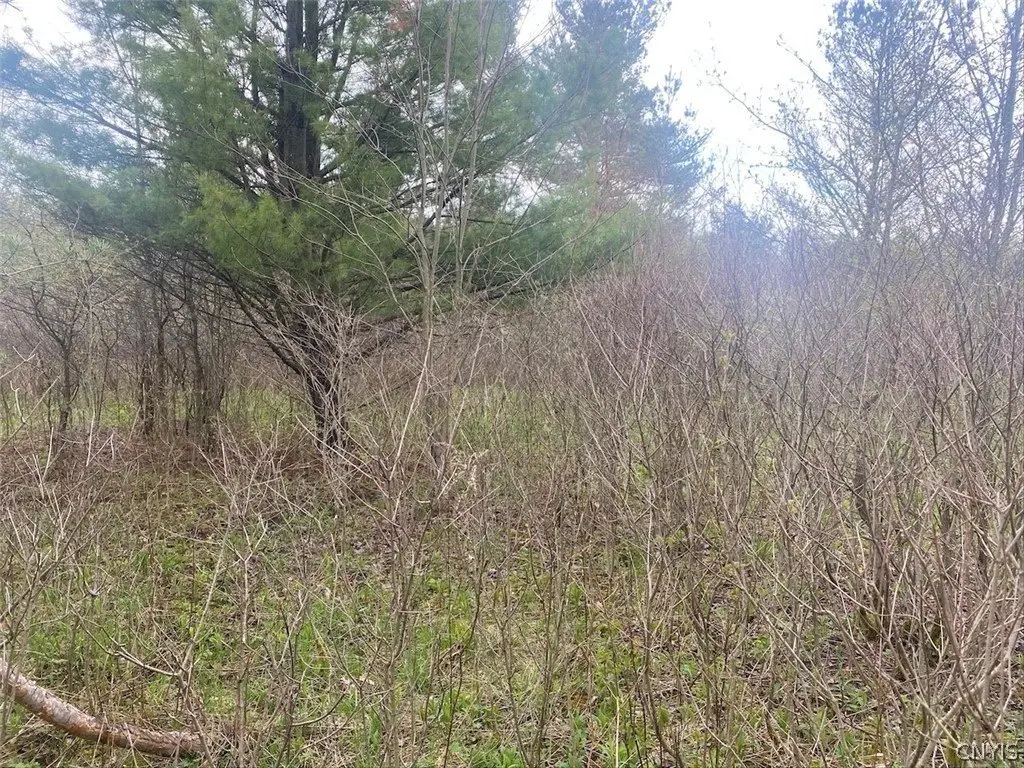 Picture 11