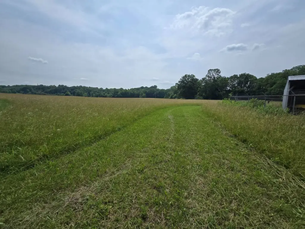 Picture 11