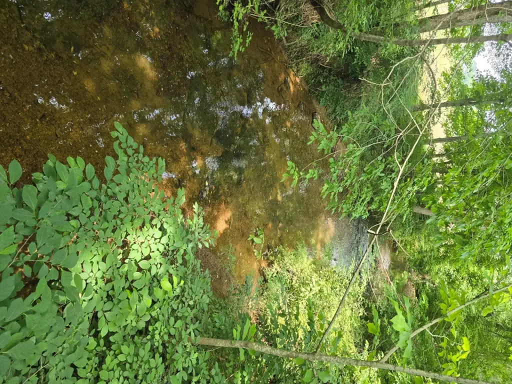 Picture 15