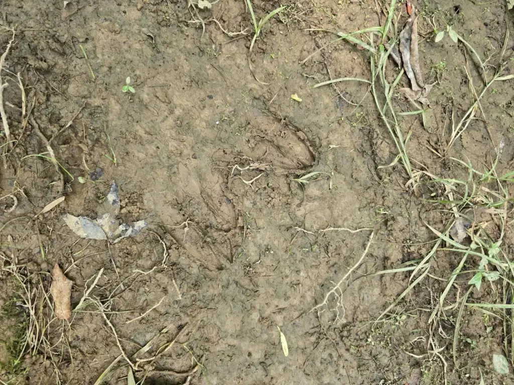 Picture 19