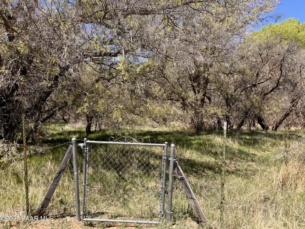 Picture 6