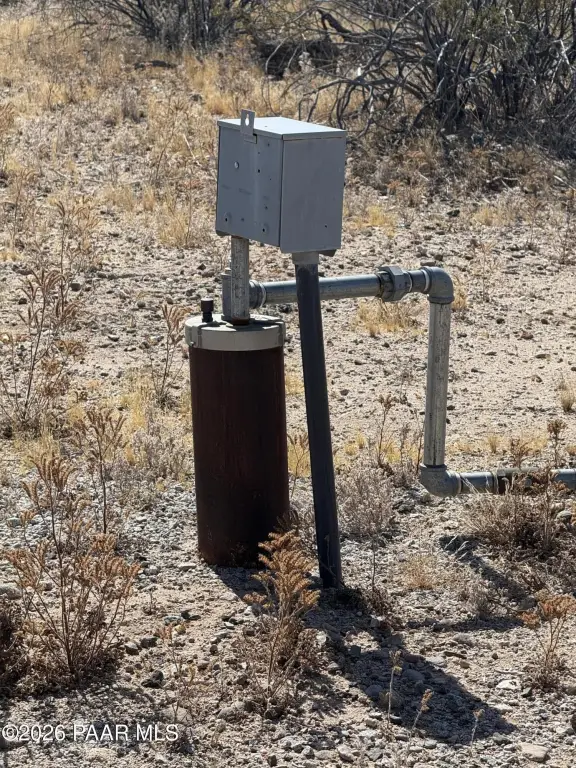 Picture 5