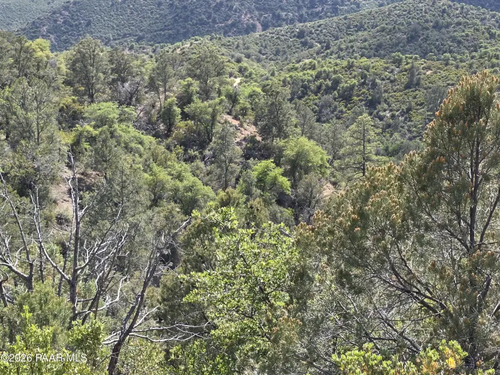Picture 18