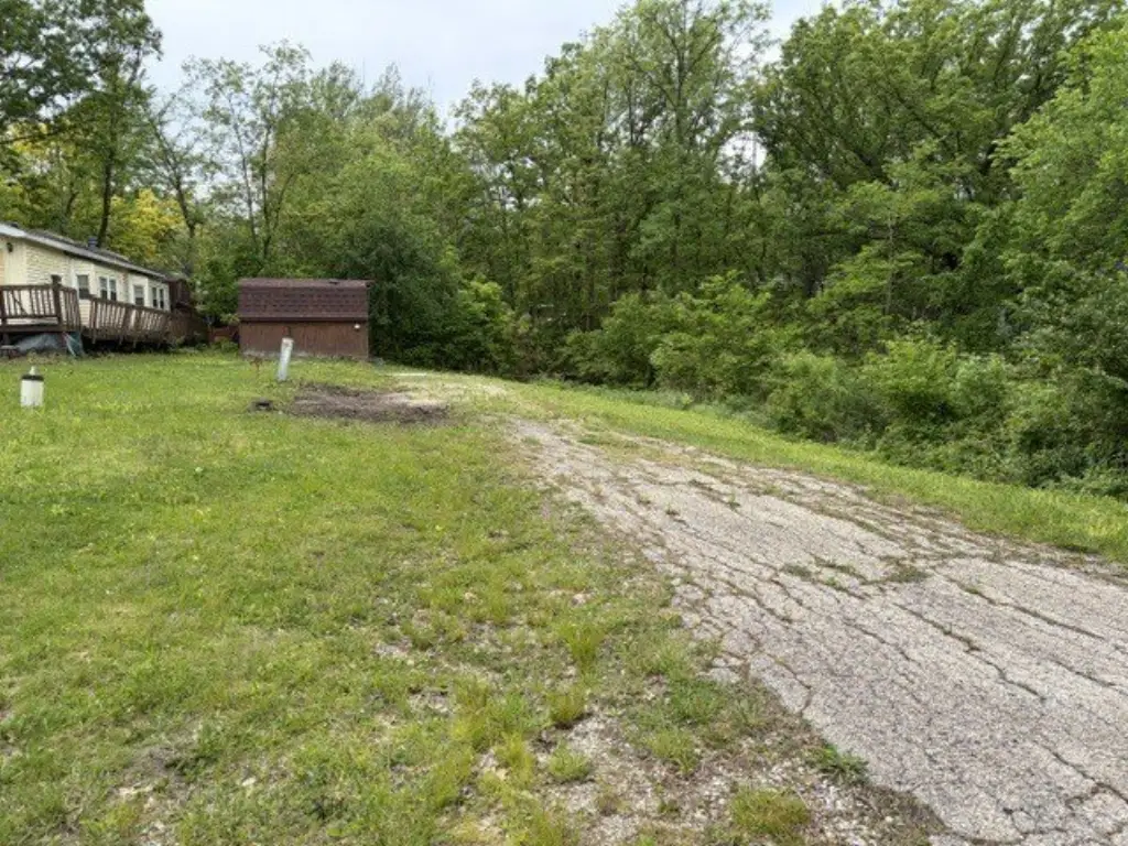 Picture 3