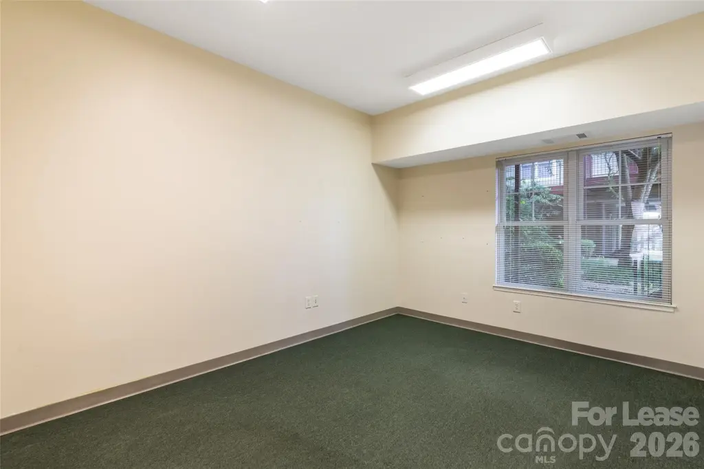 Picture 28