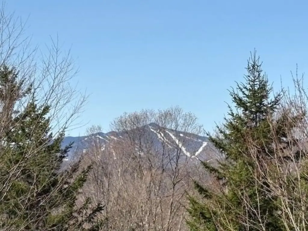 Picture 8