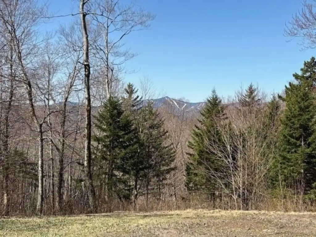 Picture 10
