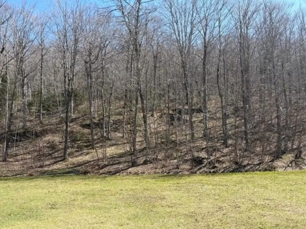 Picture 9