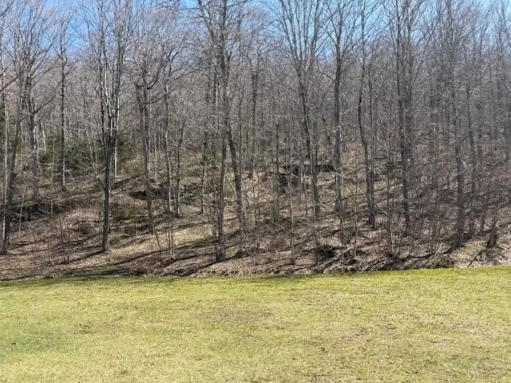 Picture 7