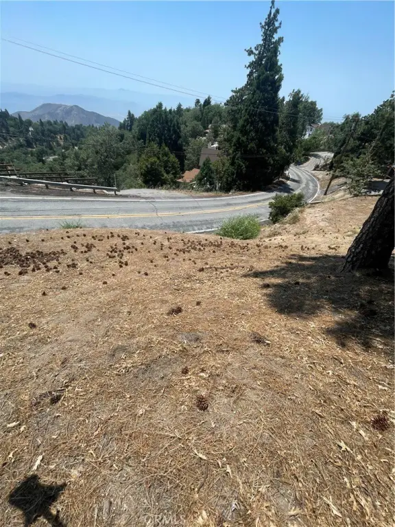 Picture 8