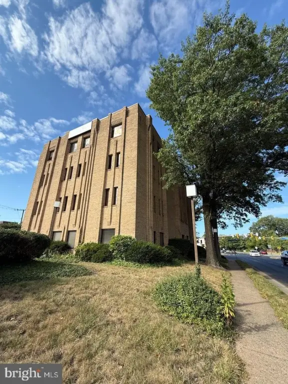 Picture 8