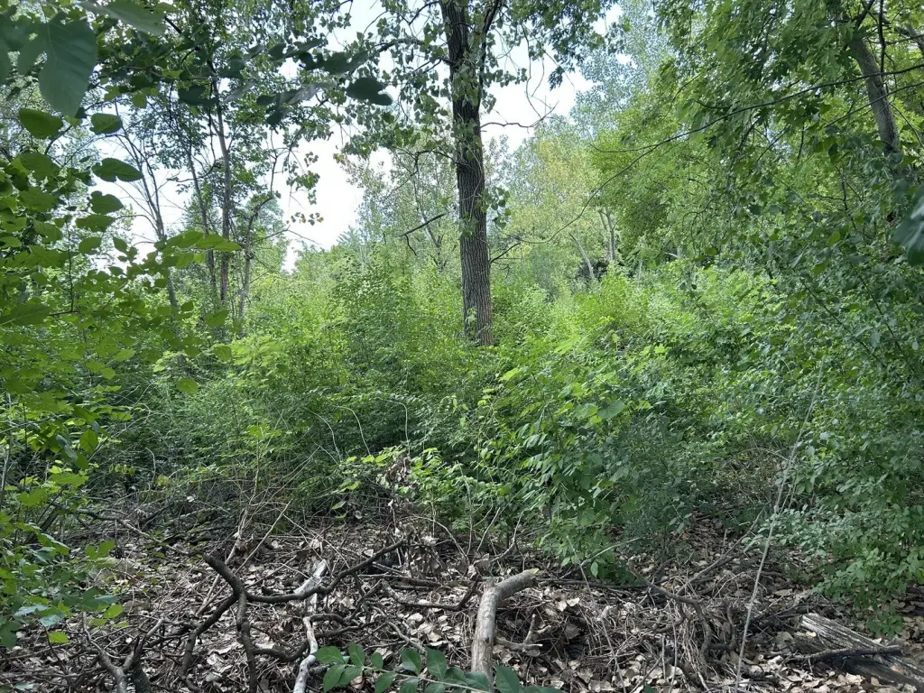 Picture 18