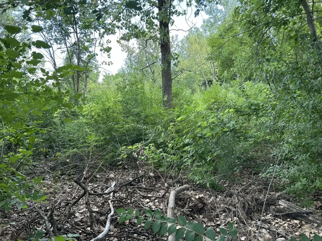 Picture 17