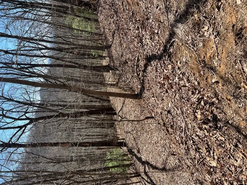 Picture 16