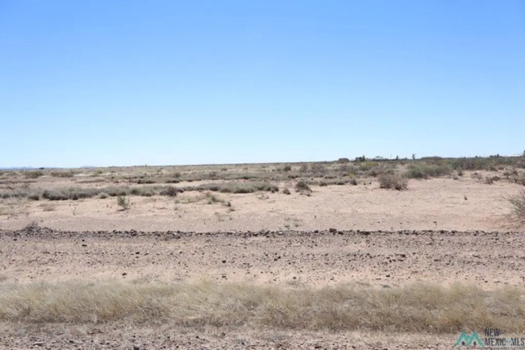 Picture 8