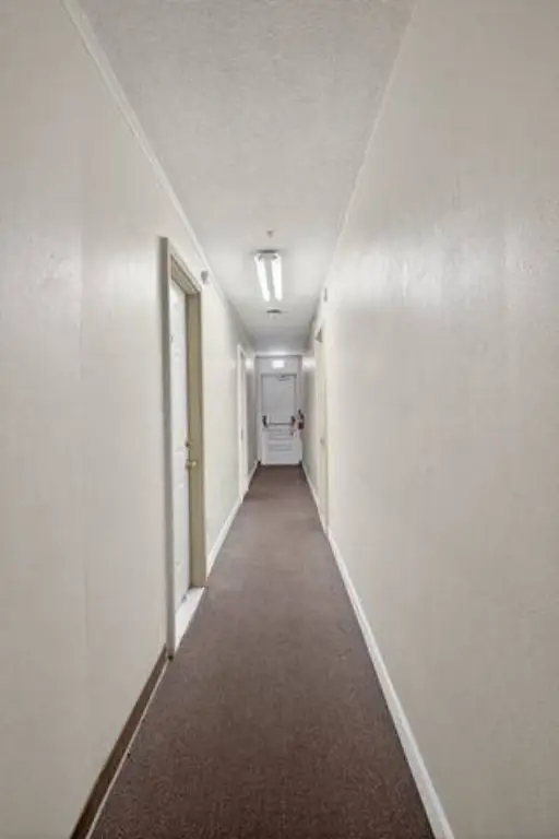 Picture 48