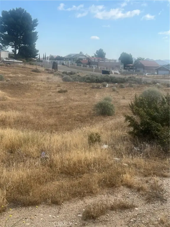 Picture 4