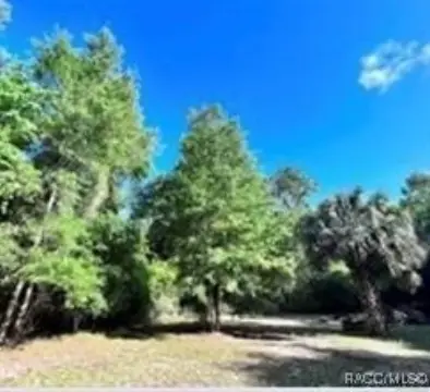 Prime Mixed-Use Land in Inglis