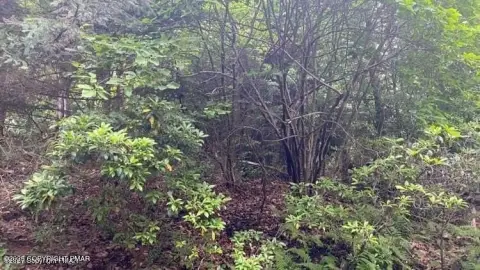 Pocono Mountains Land Opportunity