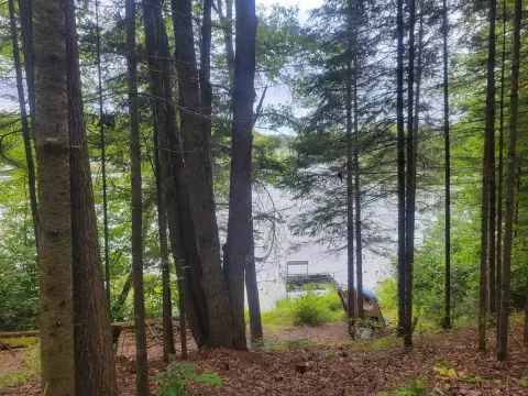 Pickerel Lake Waterfront Lot