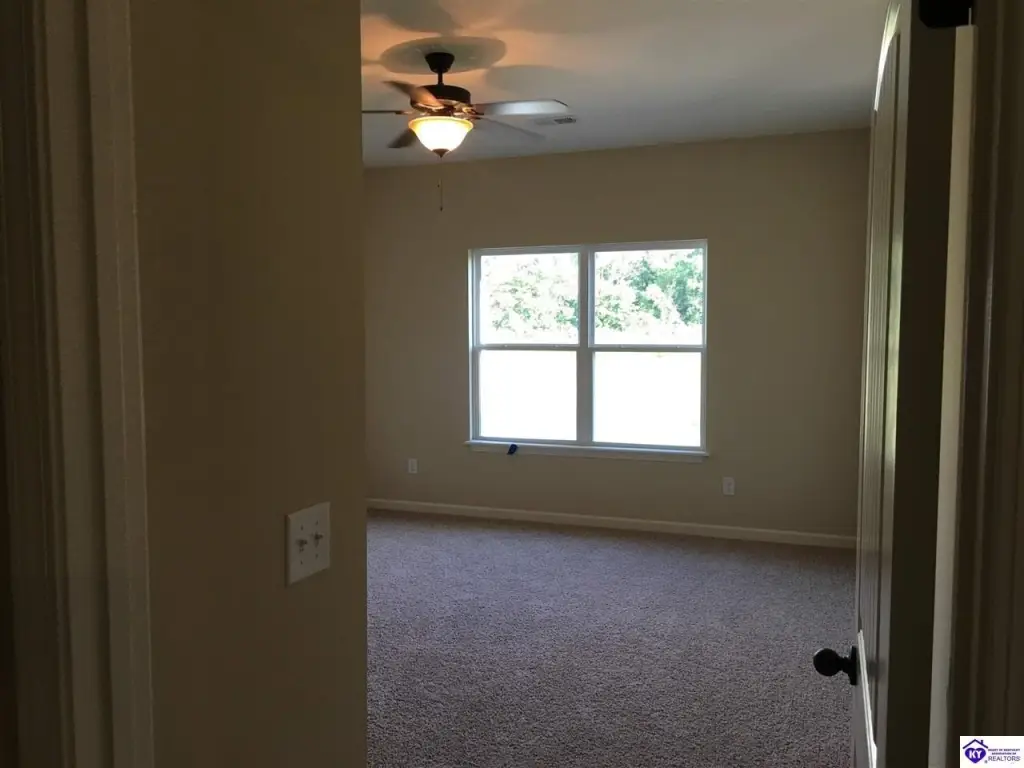 Picture 41