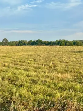 15.5 Acres Near Lake Murray