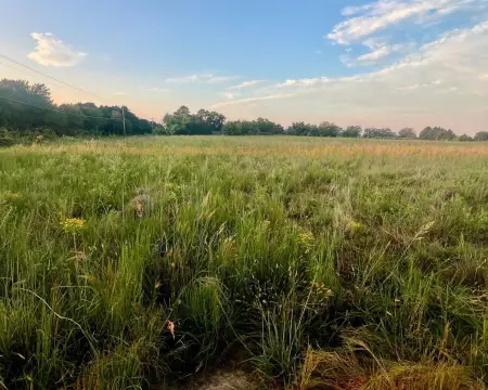 Land Near Lake Murray