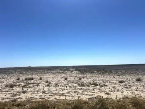 680 Acres of Cropland