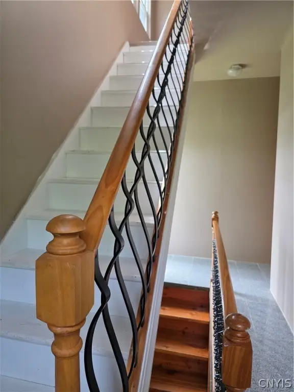Picture 41